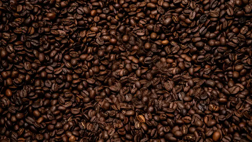 Nahaufnahme von dunkel gerösteten Kaffeebohnen